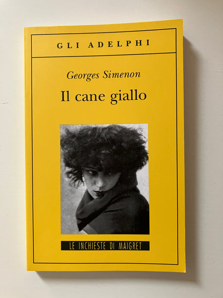 Georges Simenon - Il cane giallo