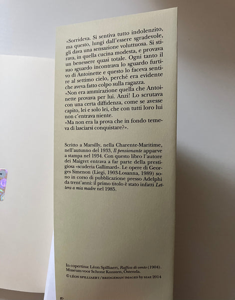 Georges Simenon - Il pensionante