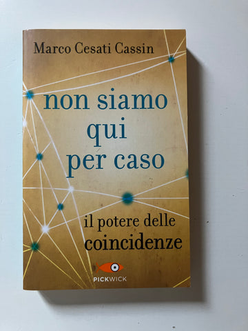 Marco Cesati Cassin - Non siamo qui per caso Il potere delle coincidenze