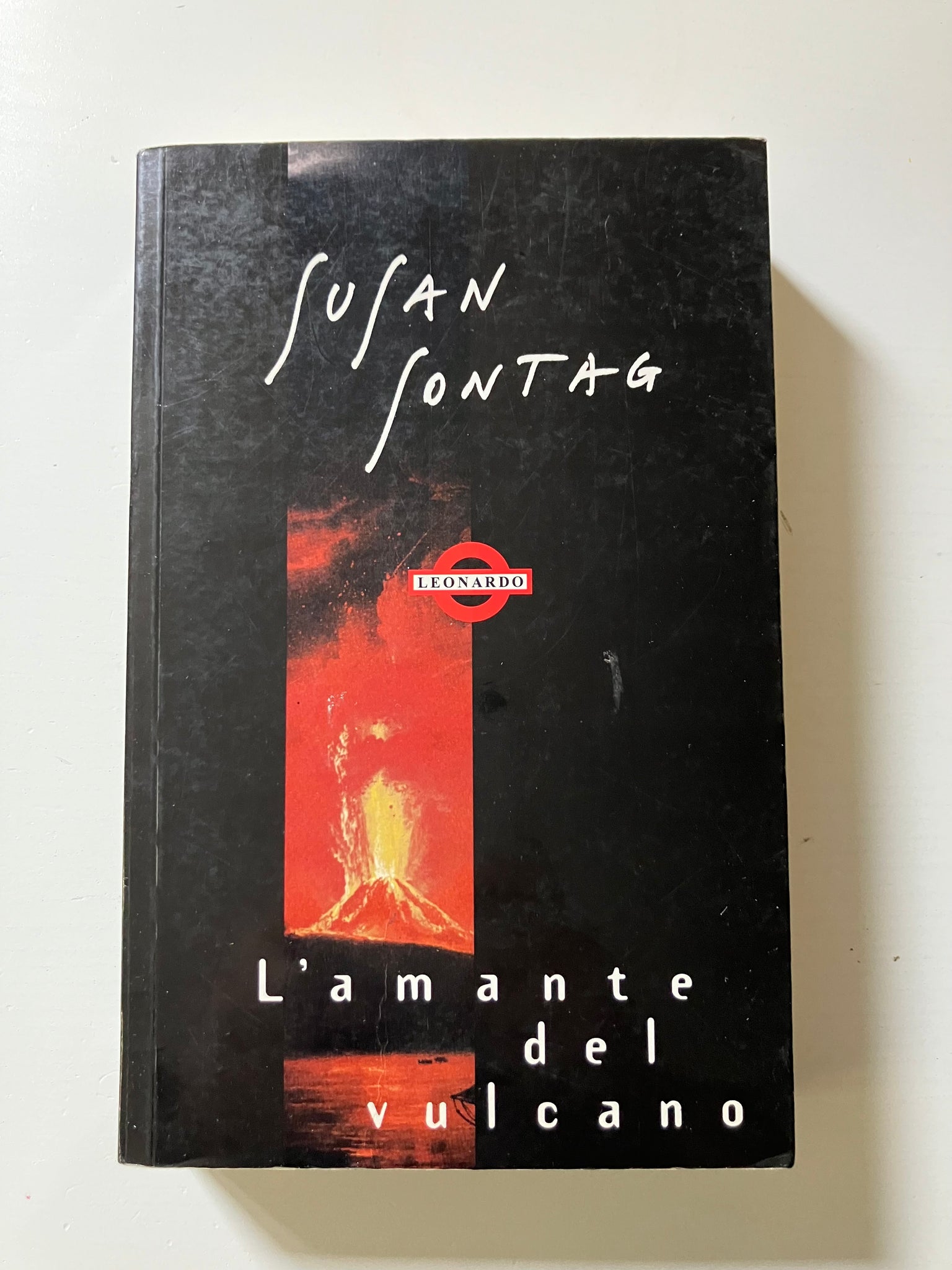 Susan Sontag - L'amante del vulcano