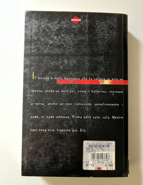 Susan Sontag - L'amante del vulcano