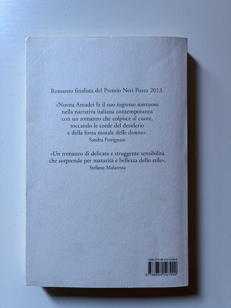 Novita Amadei - Dentro c'è una strada per Parigi