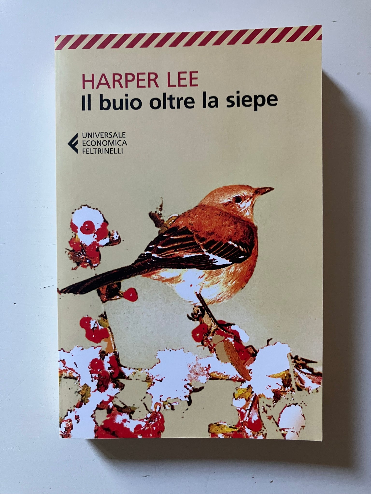 Harper Lee - Il buio oltre la siepe