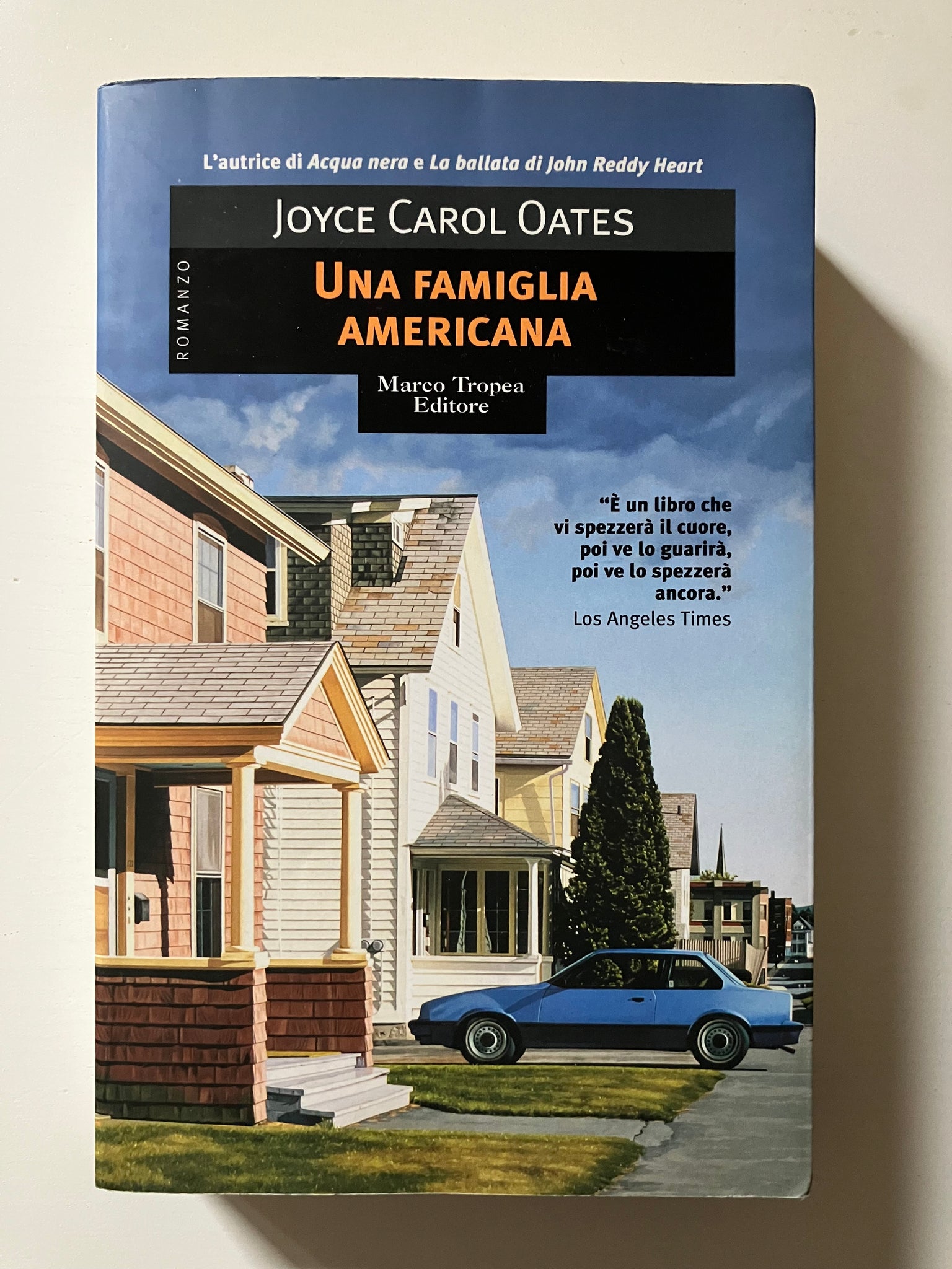 Joyce Carol Oates - Una famiglia americana