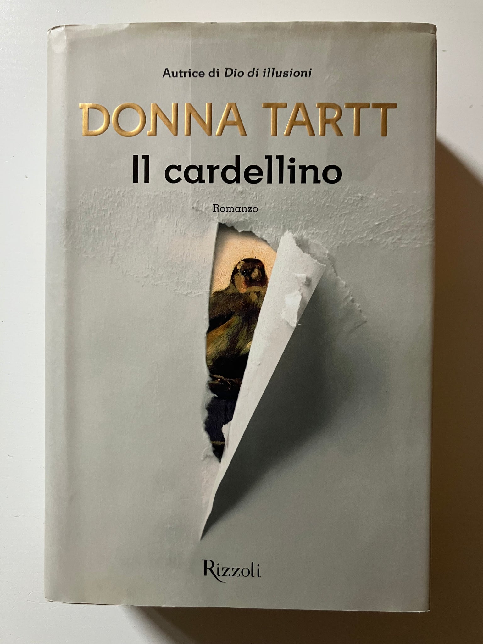 Donna Tartt - Il cardellino