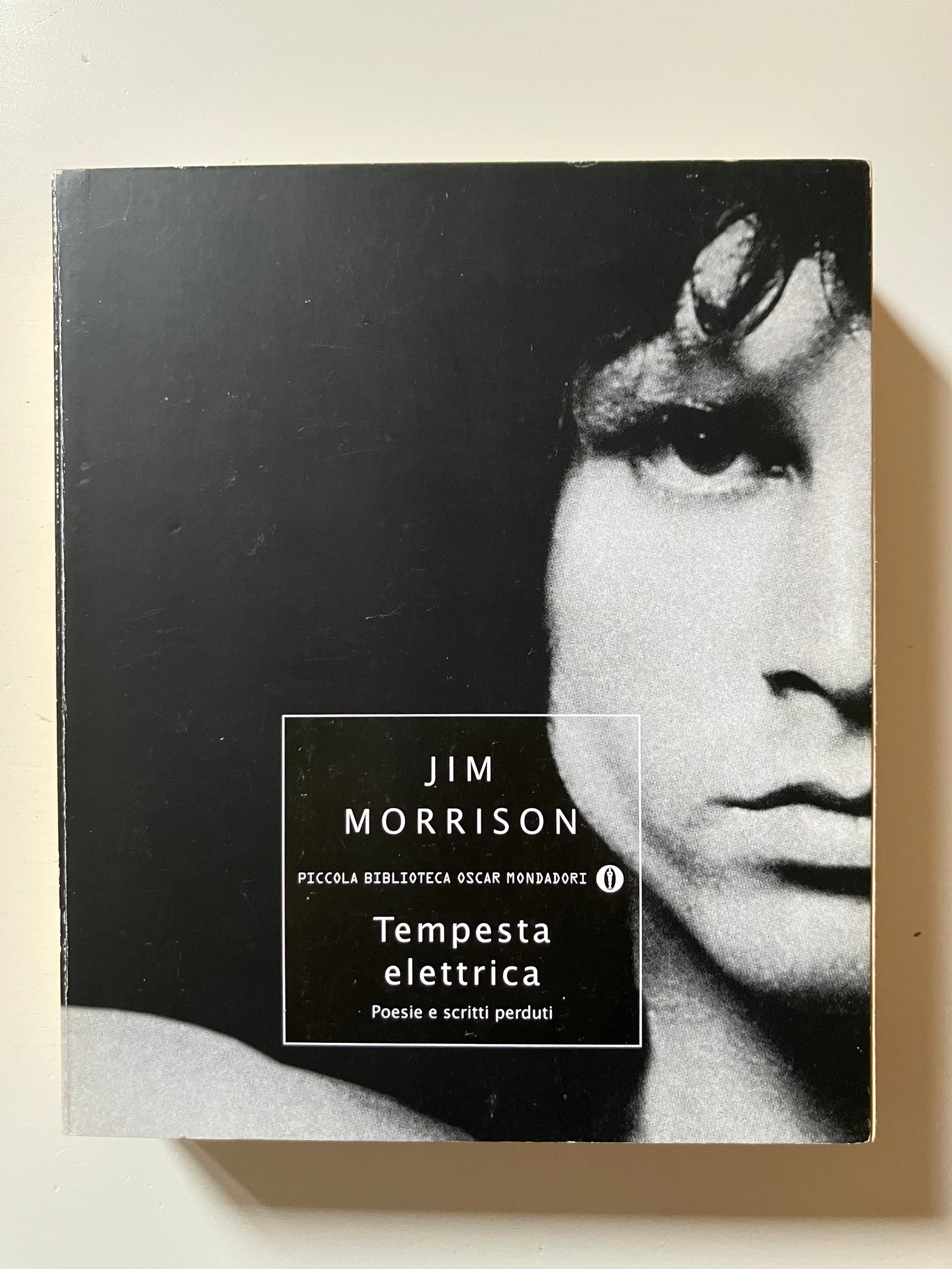 Jim Morrison - Tempesta elettrica. Poesie e scritti perduti