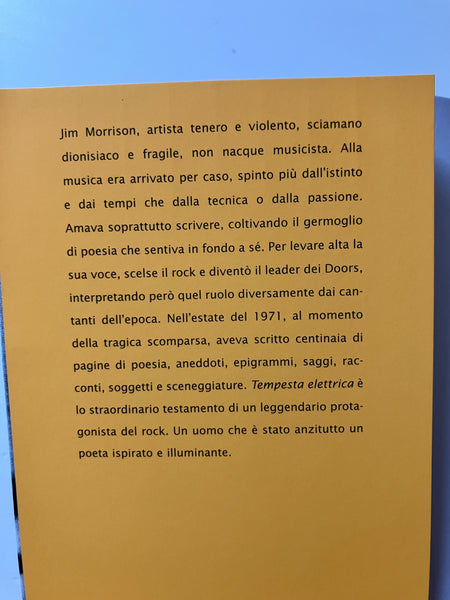 Jim Morrison - Tempesta elettrica. Poesie e scritti perduti