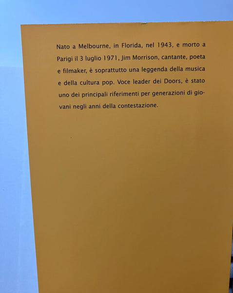 Jim Morrison - Tempesta elettrica. Poesie e scritti perduti