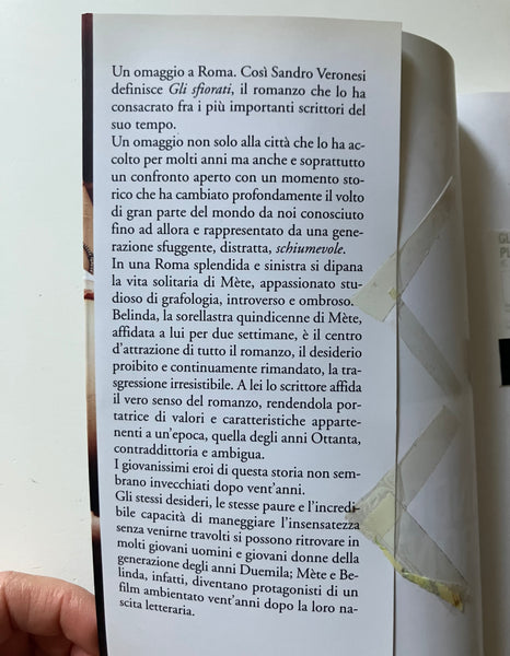 Sandro Veronesi - Gli sfiorati