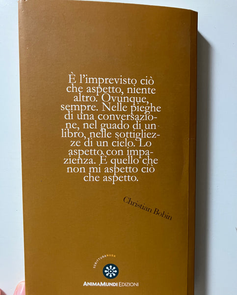 Christian Bobin - Autoritratto al radiatore