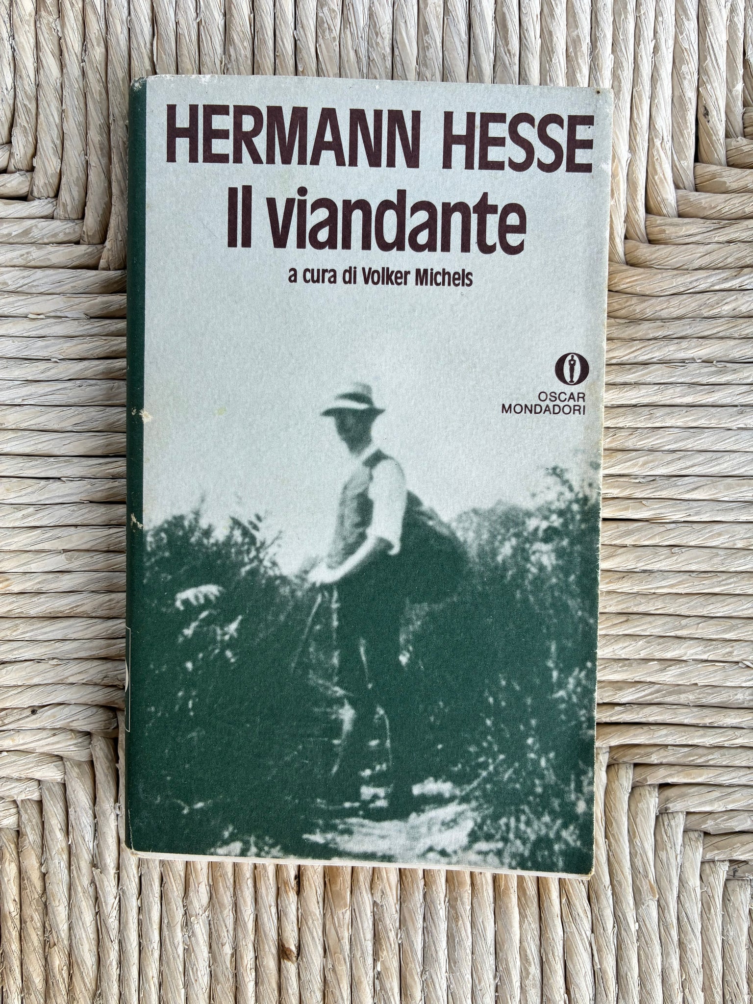 Hermann Hesse - Il viandante