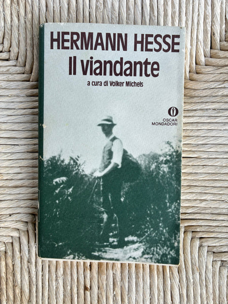 Hermann Hesse - Il viandante