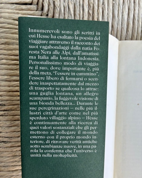 Hermann Hesse - Il viandante
