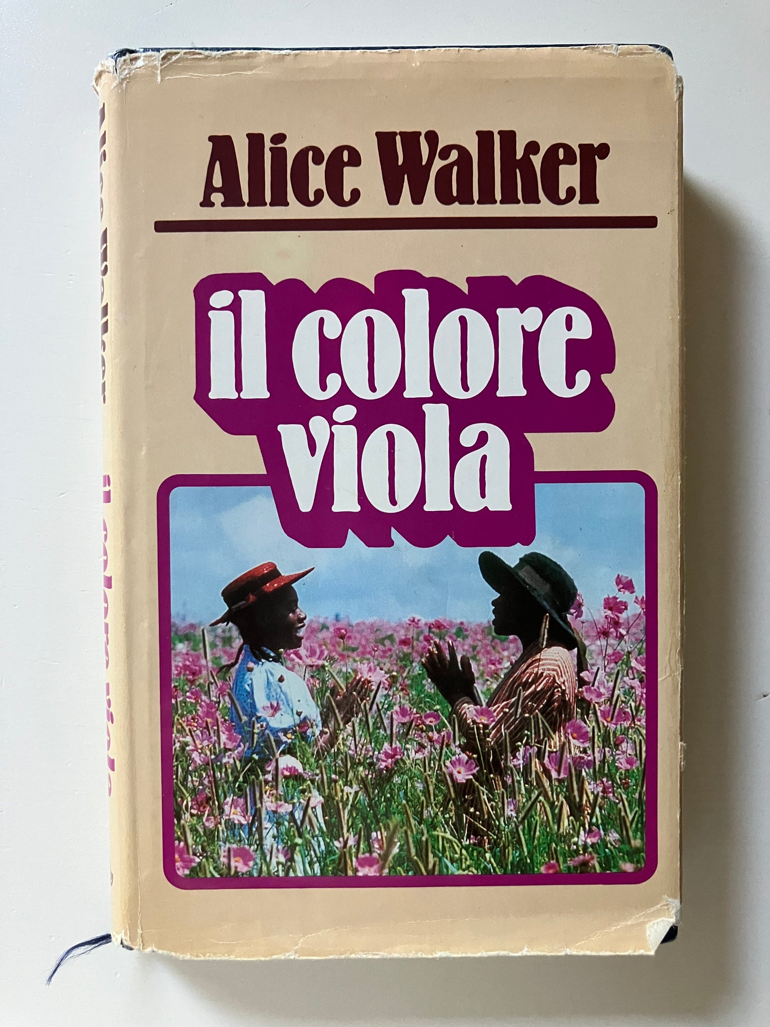 Alice Walker - Il colore viola – piudiunlibro