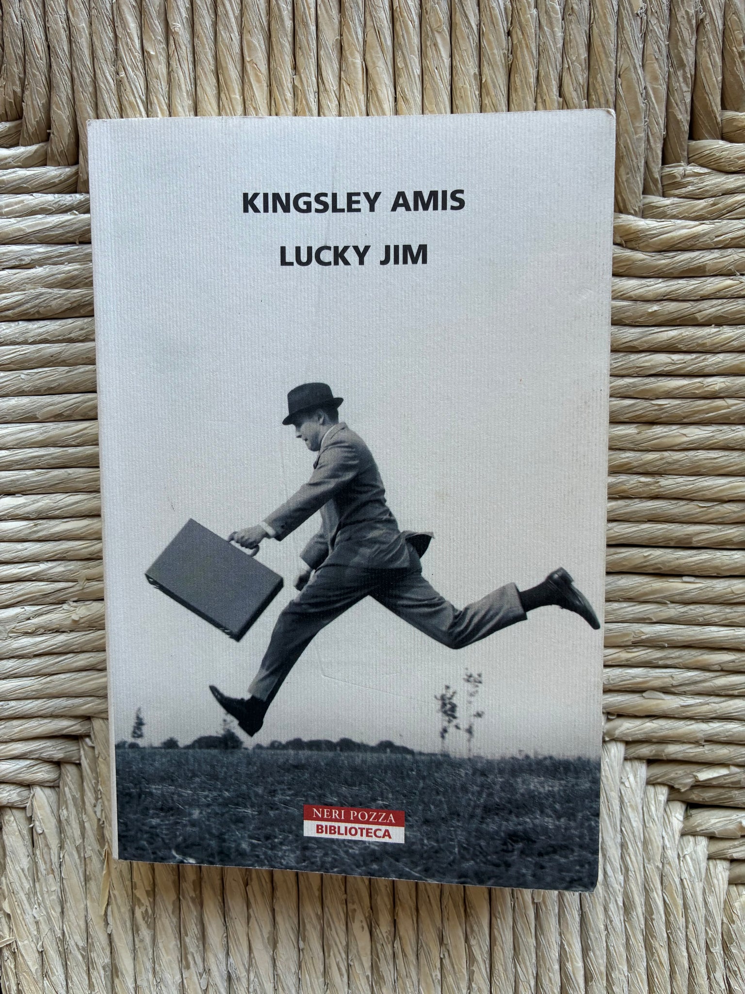 Kingsley Amis - Lucky Jim