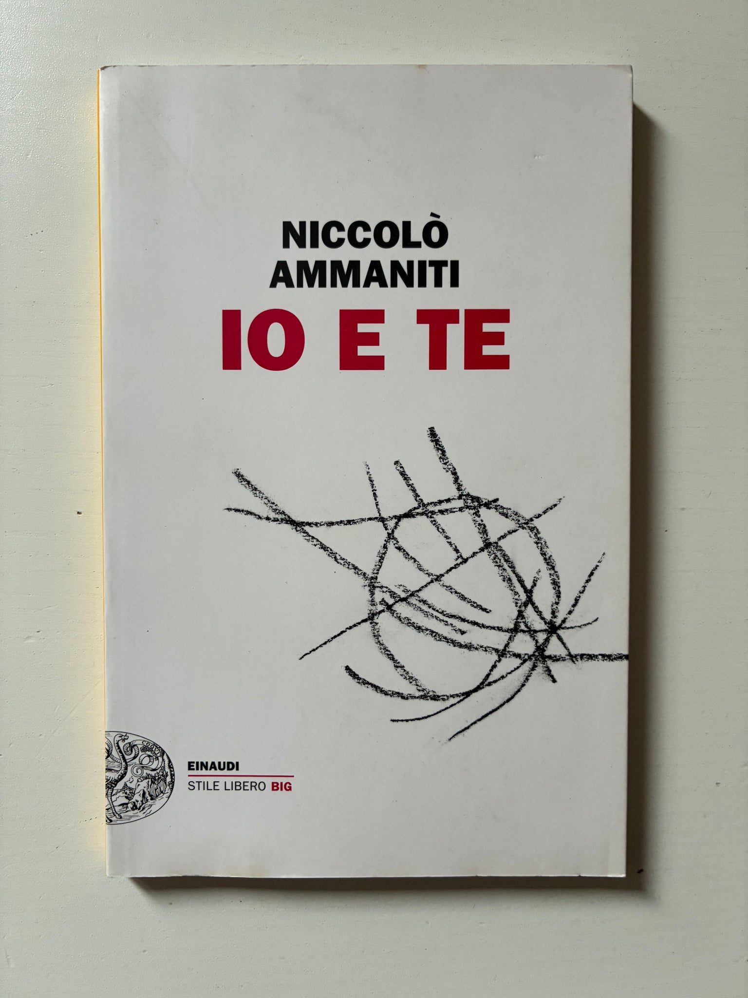 Niccolo' Ammaniti - Io e te