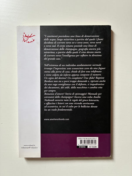 Amelie Nothomb - Causa di forza maggiore