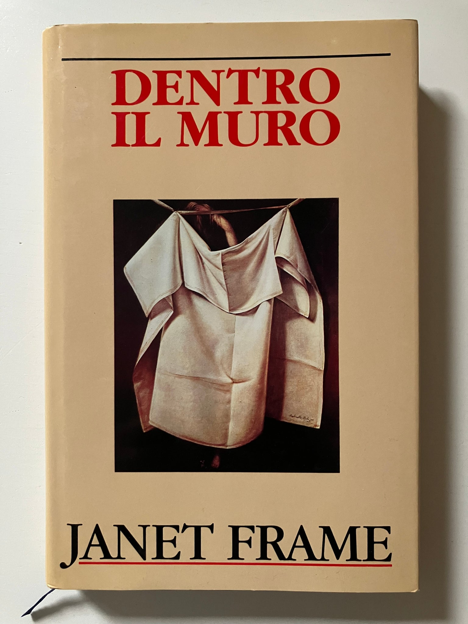 Janet Frame - Dentro il muro