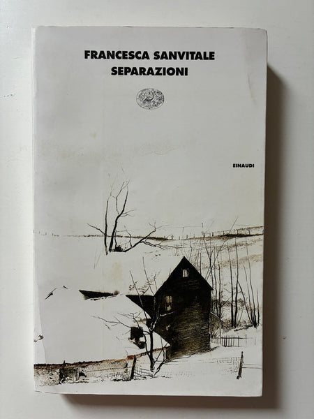 Francesca Sanvitale - Separazioni