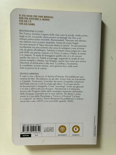 Franco Arminio - Resteranno i canti