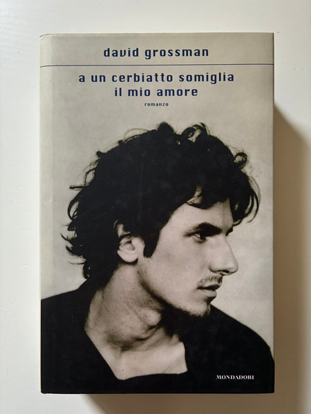 David Grossman - A un cerbiatto somiglia il mio amore