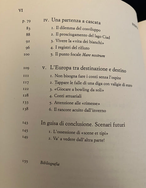 Stephen Smith - Fuga in Europa. La giovane Africa verso il vecchio continente