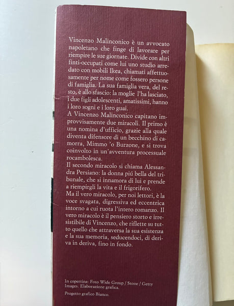 Diego De Silva - Non avevo capito niente