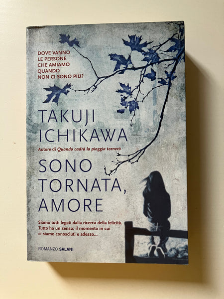 Takuji Ichikawa - Sono tornata, amore