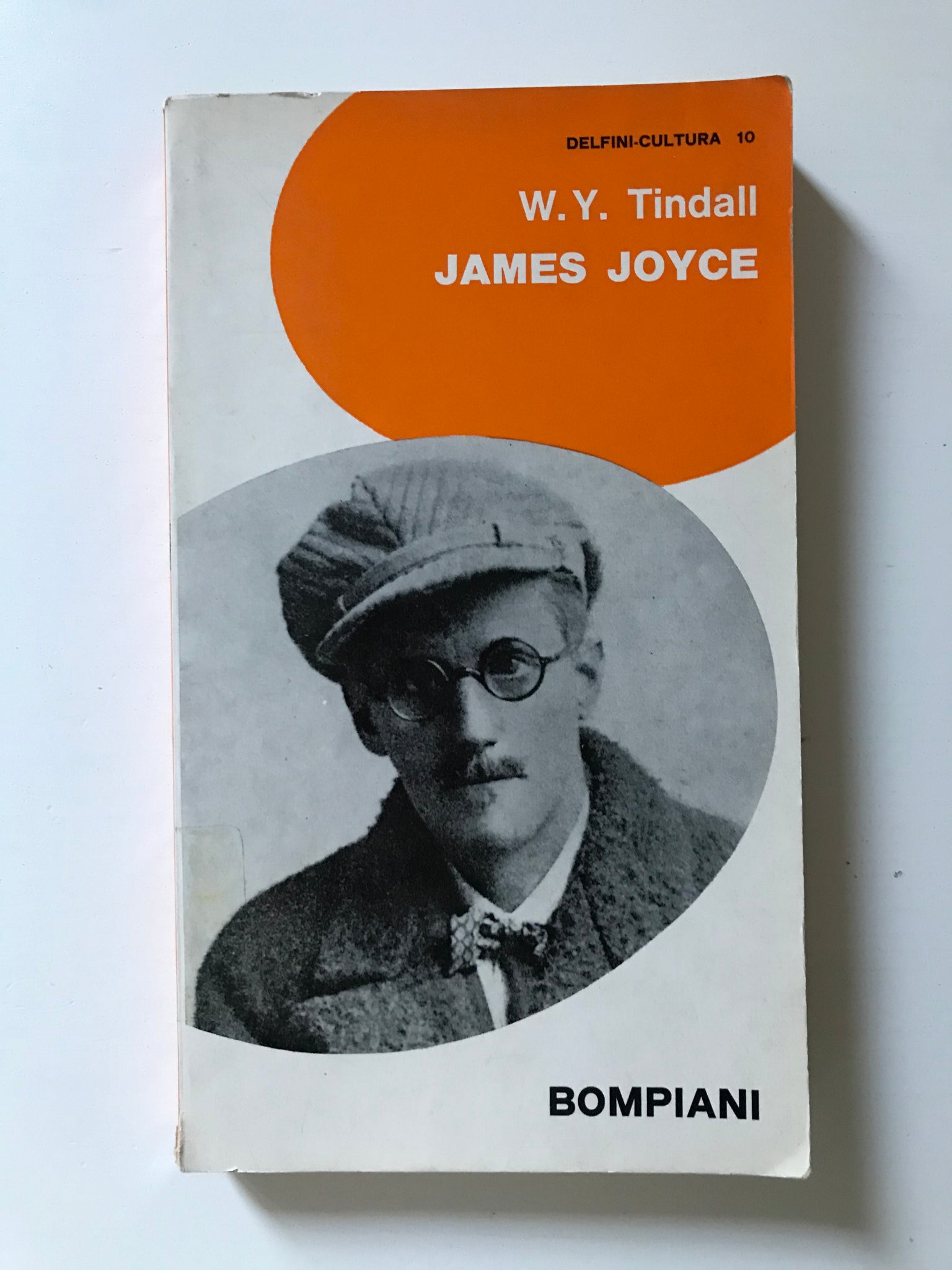 William Y. Tindall - James Joyce