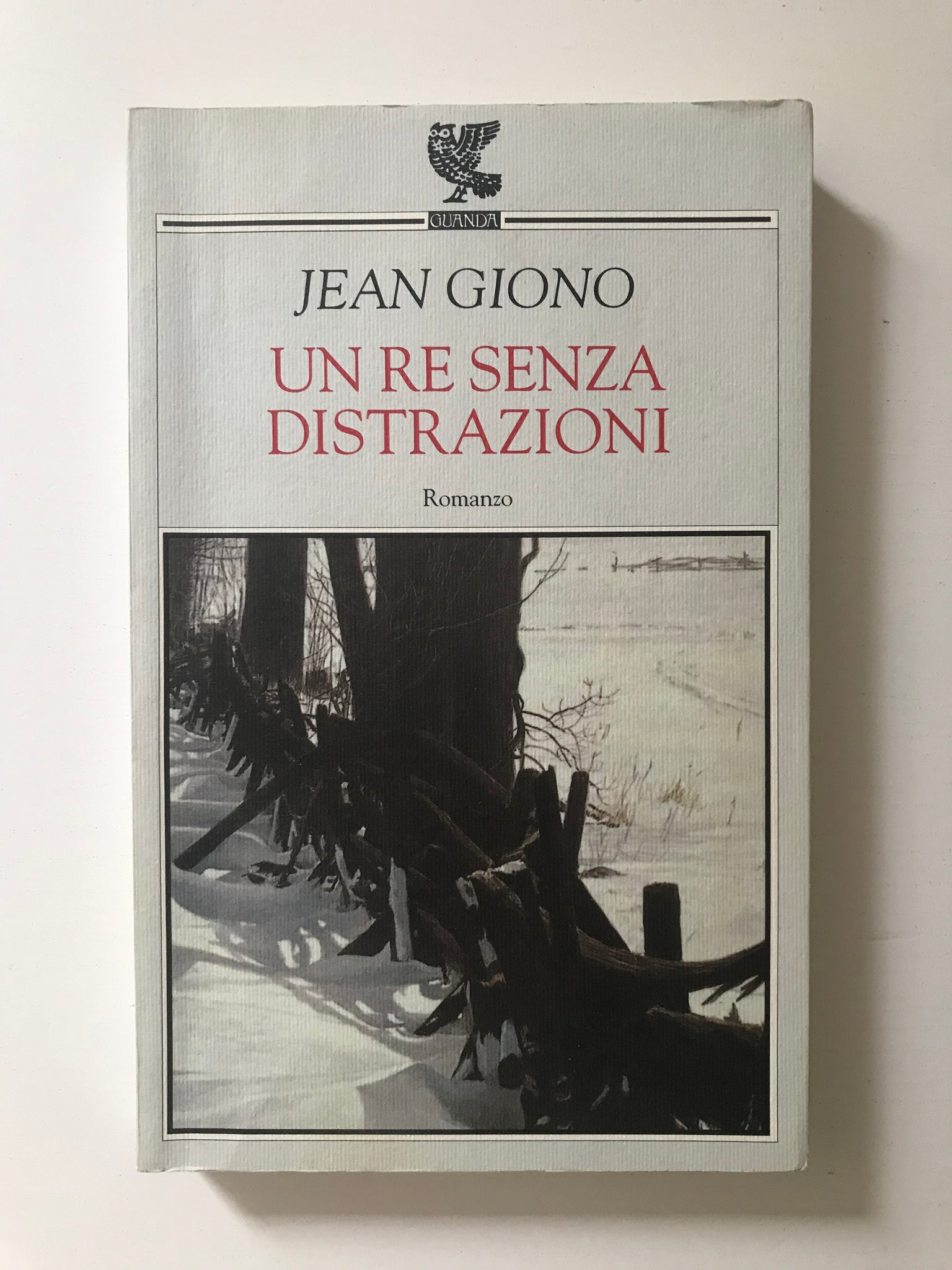 Jean Giono - Un re senza distrazioni