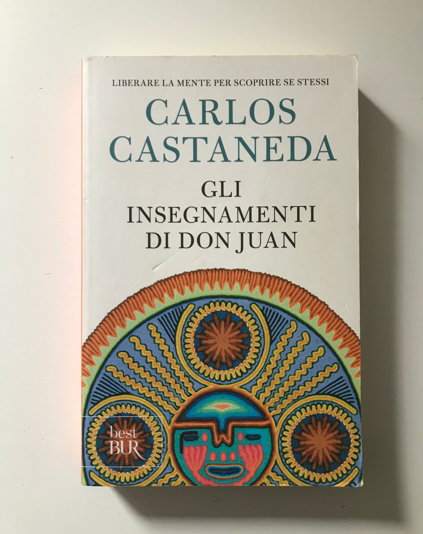Carlos Castaneda - Gli insegnamenti di Don Juan