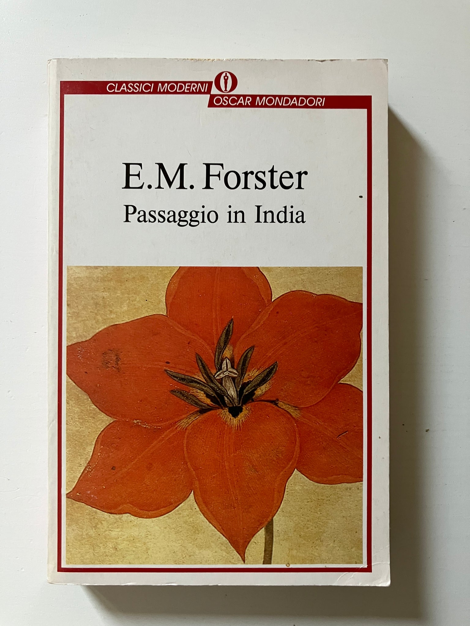 E. M. Forster - Passaggio in India