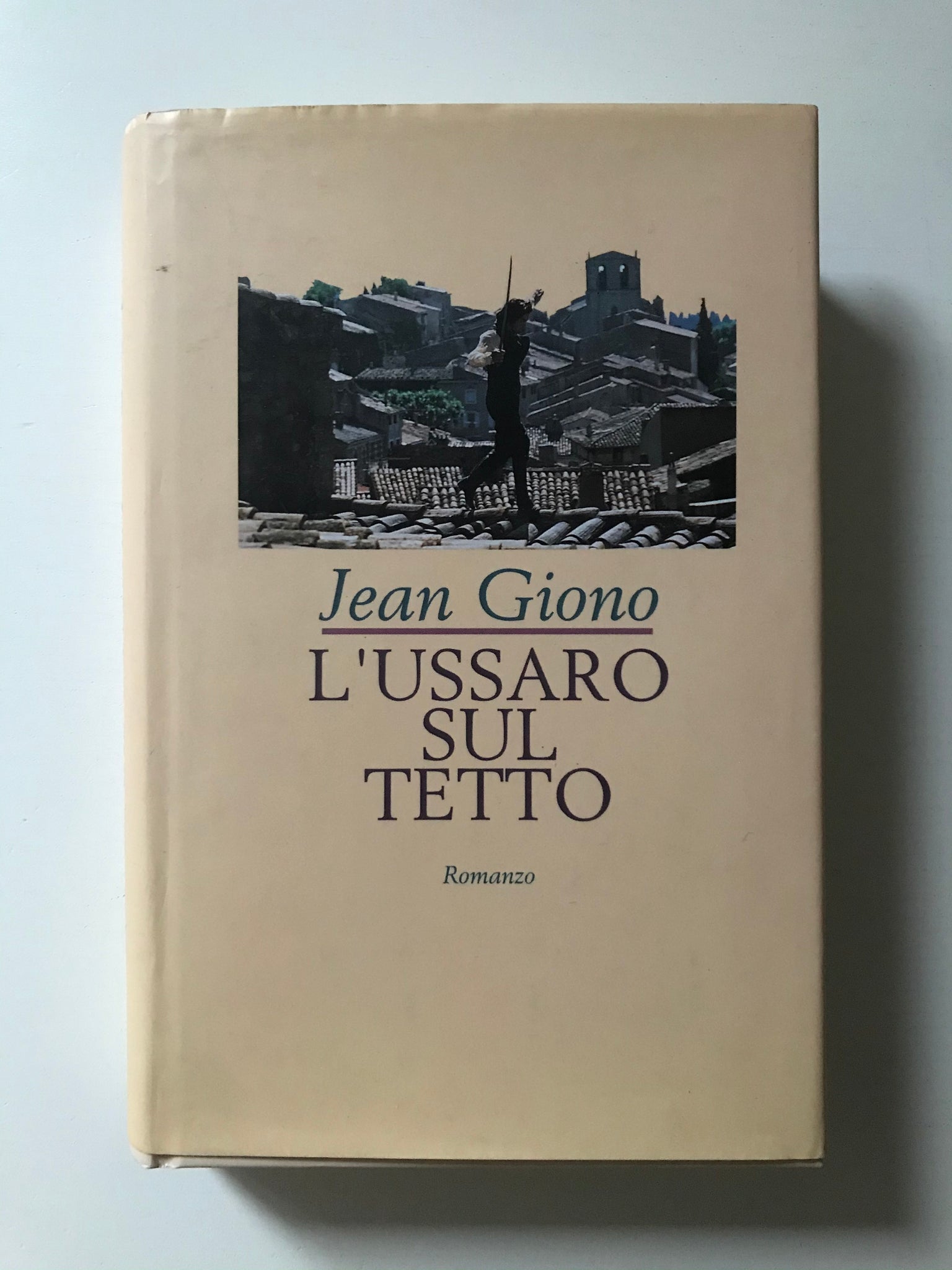 Jean Giono - L'ussaro sul tetto
