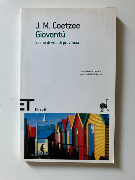 J. M. Coetzee - Gioventù