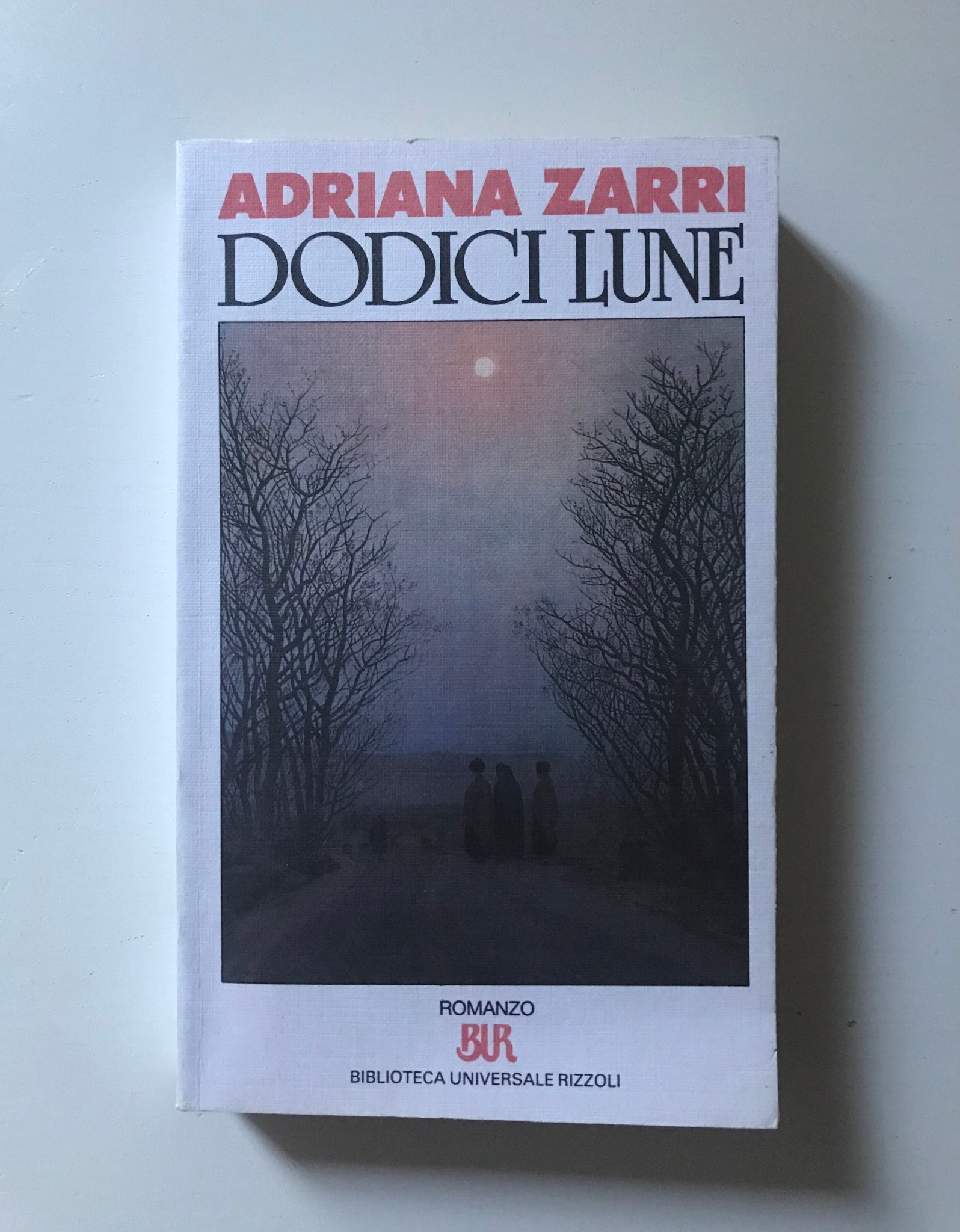 Adriana Zarri - Dodici lune