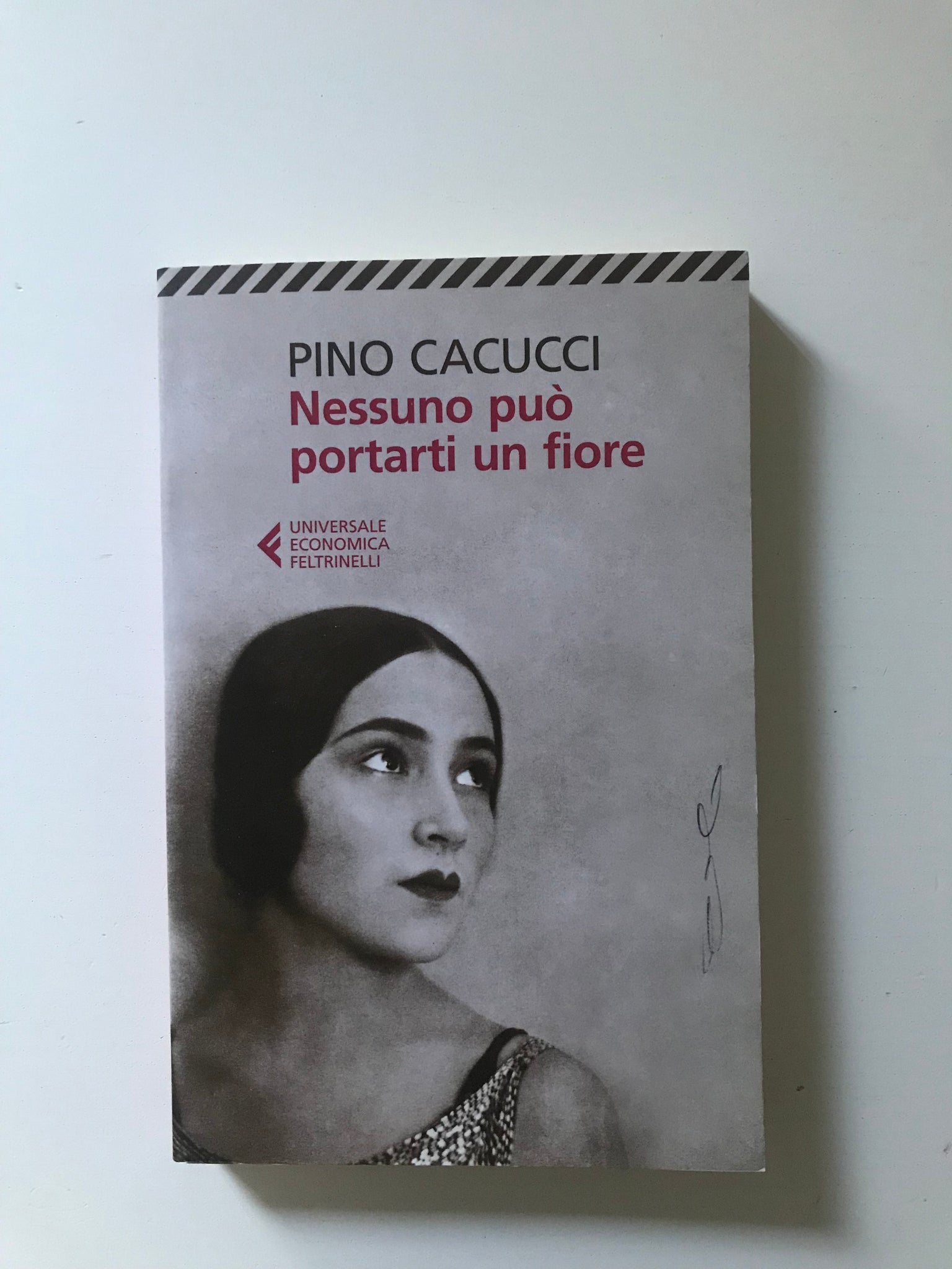 Pino Cacucci - Nessuno può portarti un fiore