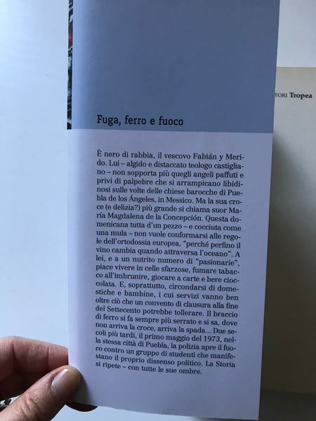 Paco Ignacio Taibo I - Fuga, ferro e fuoco