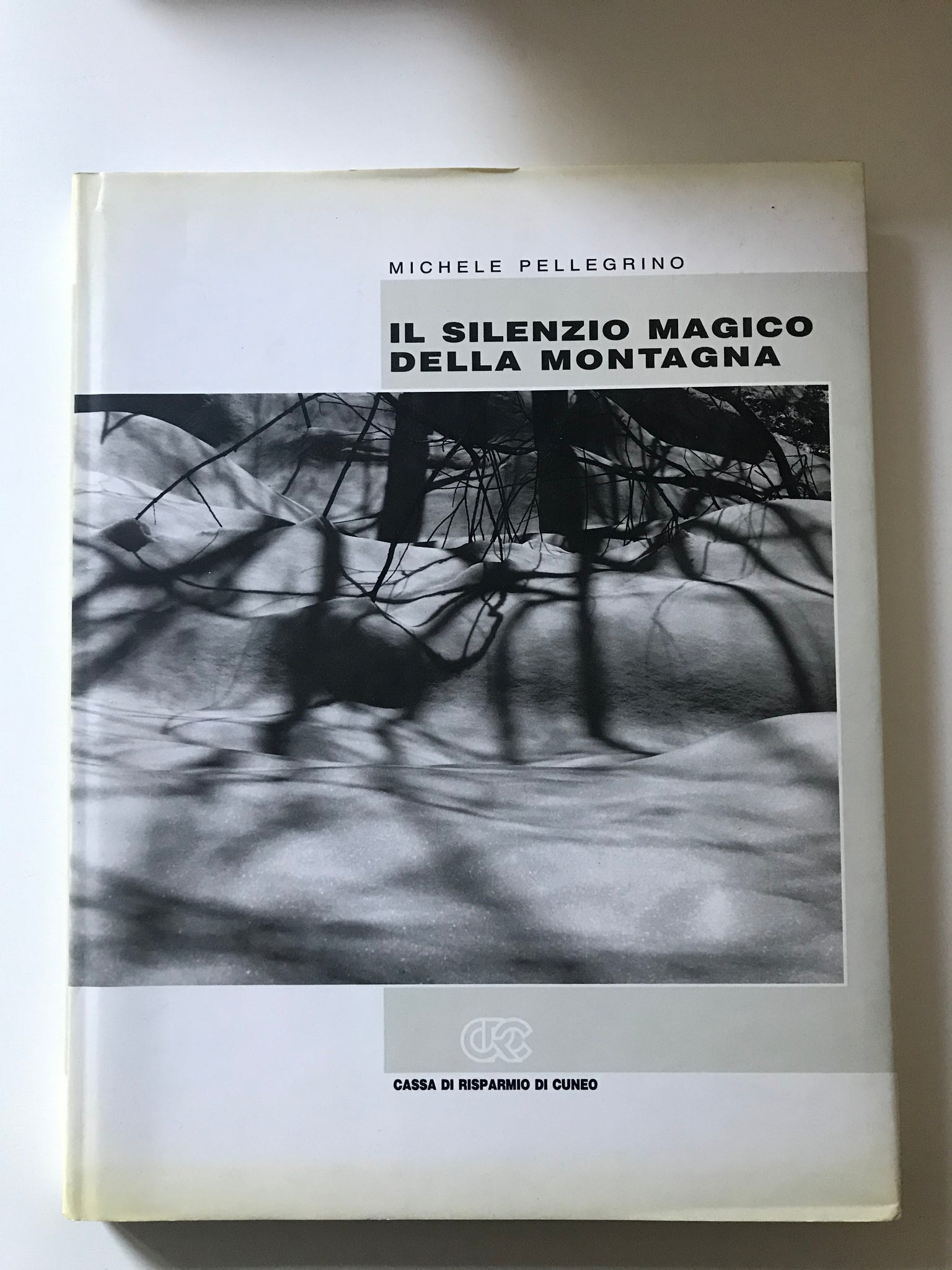 Michele Pellegrino - Il silenzio magico della montagna