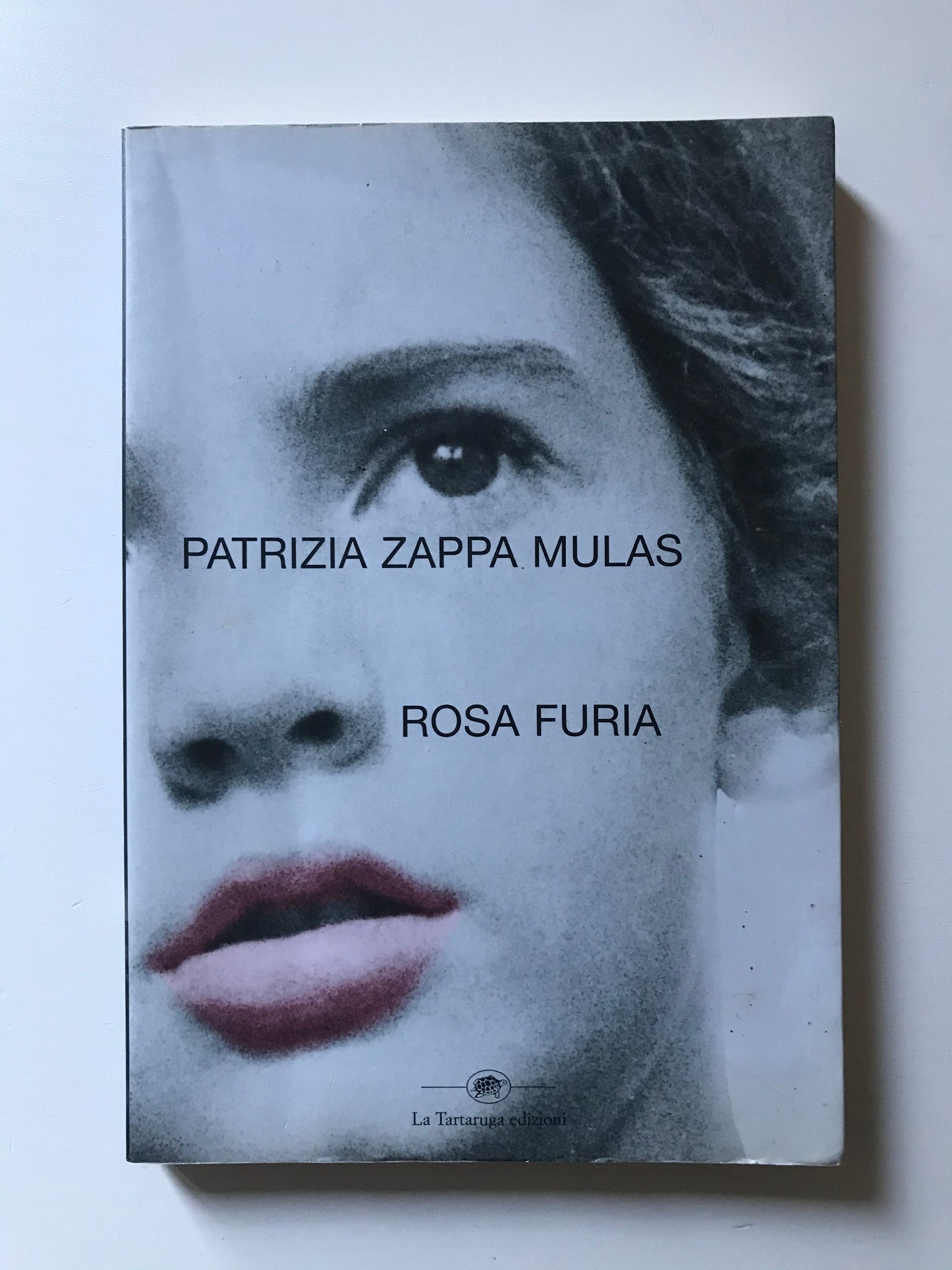 Patrizia Zappa Mulas - Rosa Furia