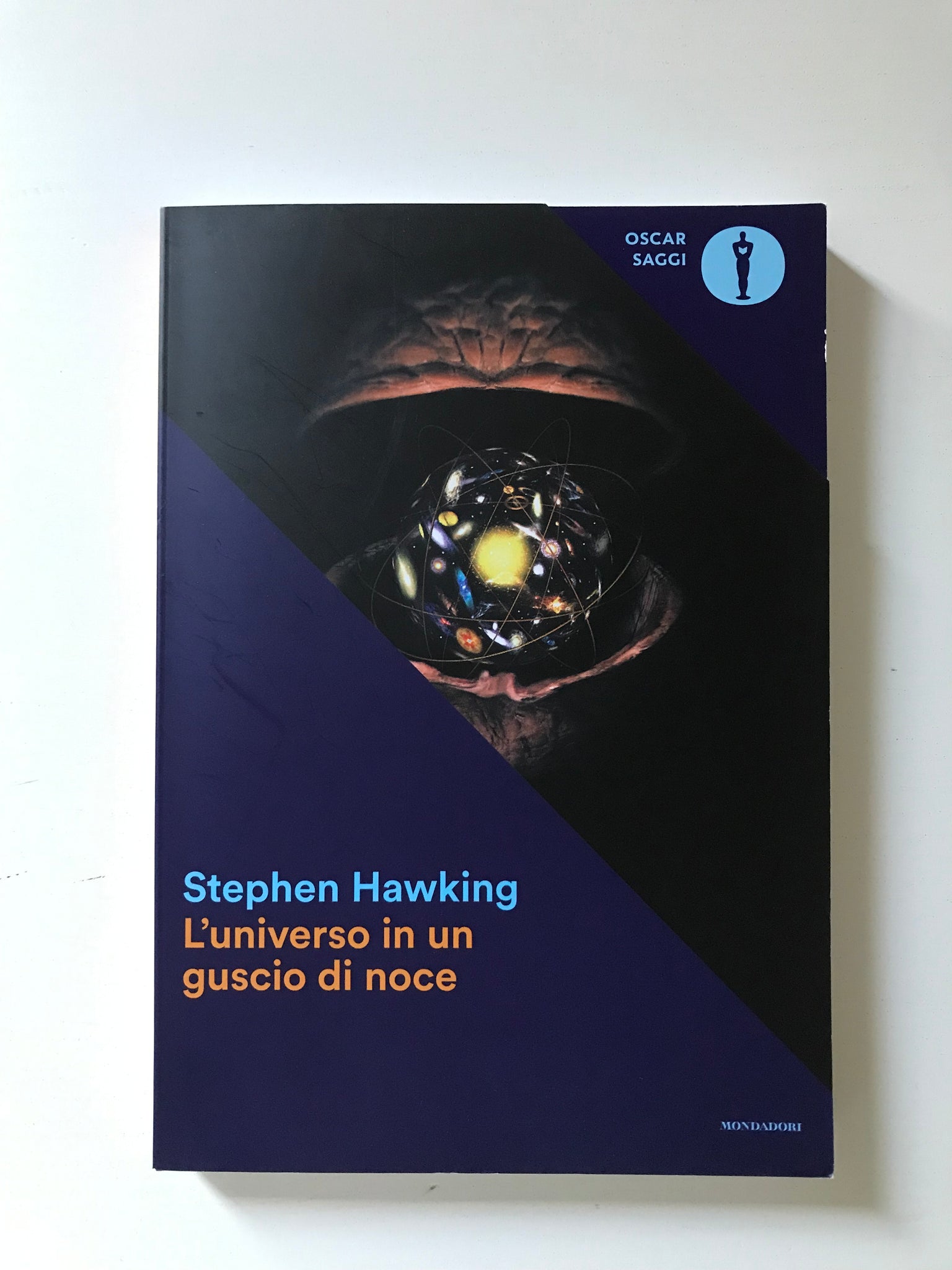 Stephen Hawking - L'universo in un guscio di noce