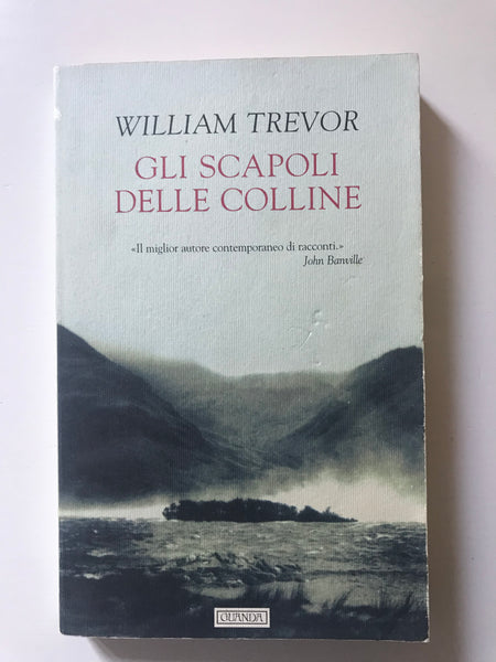 William Trevor - Gli scapoli delle colline