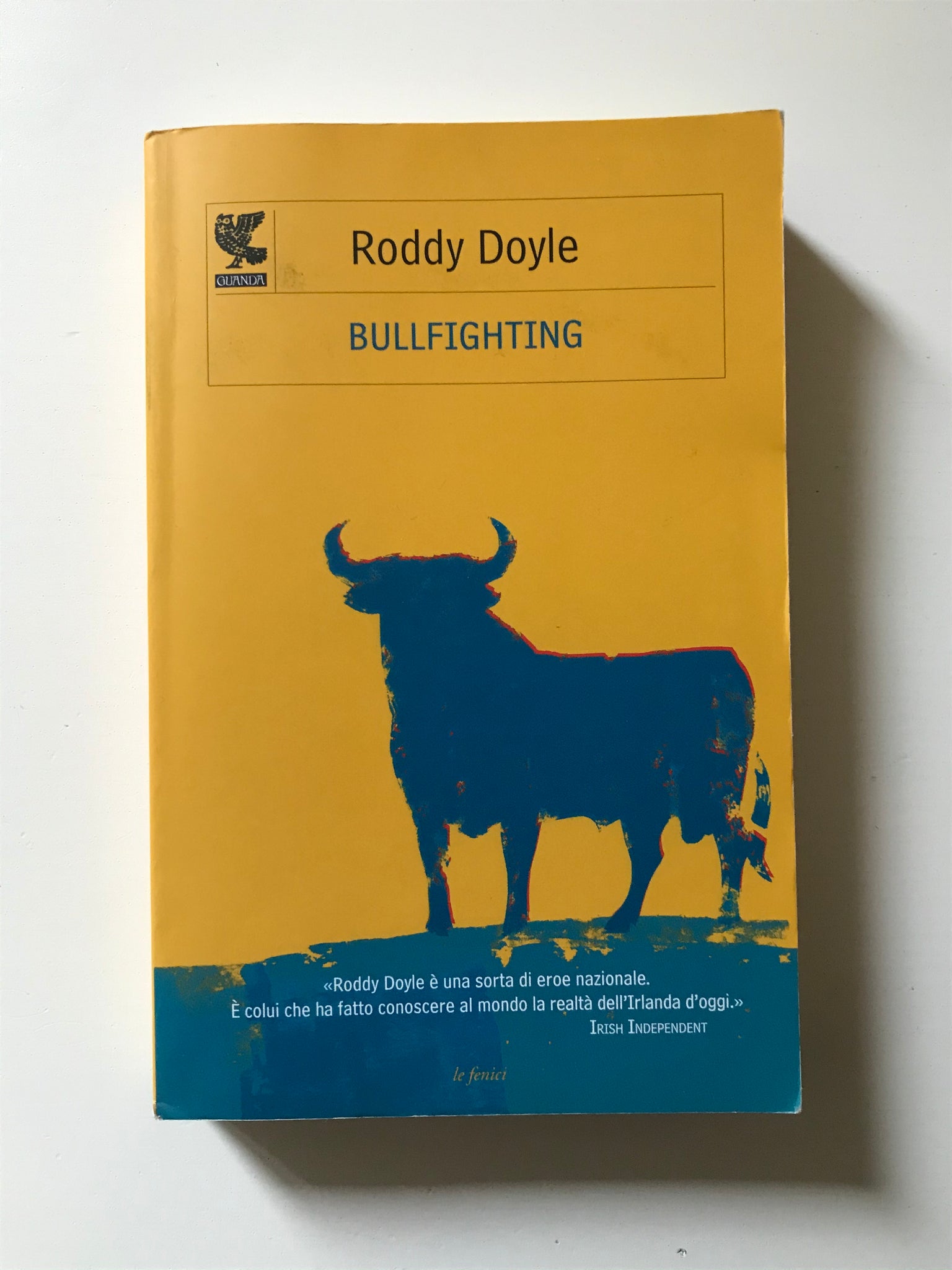 Roddy Doyle - Bullfighting